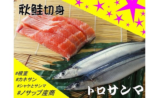 A-59002 【北海道根室産】生冷凍サンマ5本入×2P・秋鮭切身3切れ×1P