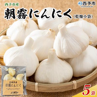 ふるさと納税 西予市 &lt;西予市産 朝霧にんにく(乾燥小袋)5袋 内容量 国産 ニンニク  ノムランド