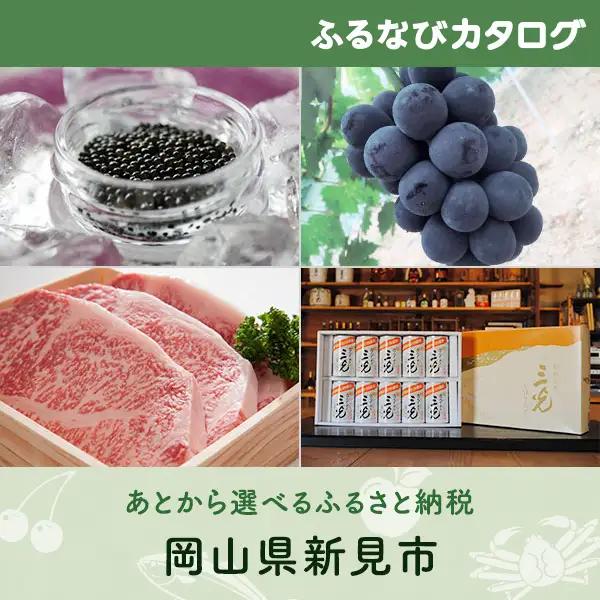 【有効期限なし！後からゆっくり特産品を選べる】岡山県新見市カタログポイント