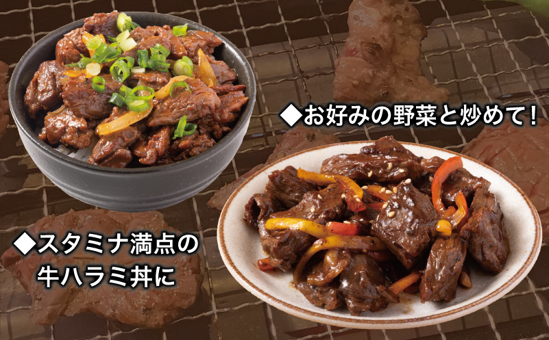 【満足牛ハラミ】甘辛タレ漬け 合計1.5kg 【味付け ハラミ 小分け 焼くだけ 簡単調理 BBQ 牛肉 250g×6P】 015B504