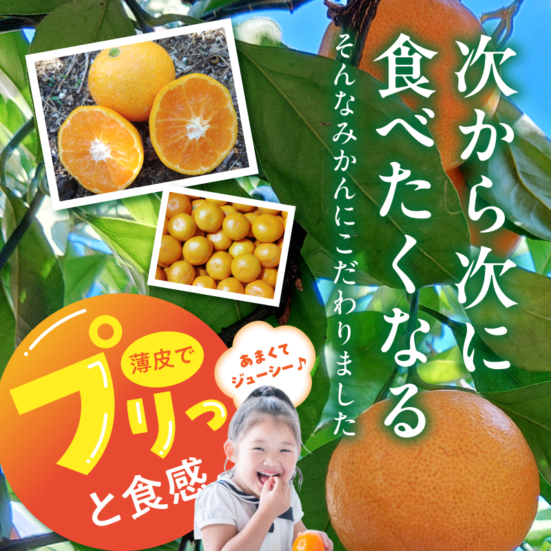 BK6018_【2026年先行予約】庄助みかん (家庭用・サイズ混合) 約3kg