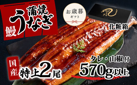 うなぎ 国産 特上 ウなぎ 蒲焼き 2尾 570g以上 ウナギ 化粧箱 お歳暮
