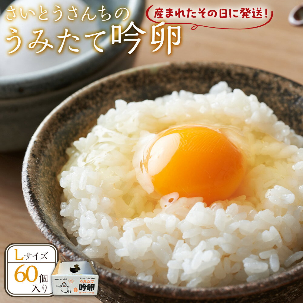 【ふるさと納税】＼うみたて出荷／ 卵 60個 | たまご 玉子 タマゴ 鶏卵 国産 ごはん 卵かけごはん 卵焼き 玉子焼き オムライス 人気 おすすめ お取り寄せ グルメ 宮城