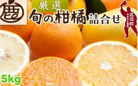 柑橘 詰合せ 5kg+250g（痛み補償分） 厳選 光センサー / 高級 みかん 不知火 清見 八朔 伊予間 セミノール レモン ３種類以上 詰め合わせ 晩柑 ※1月上旬～6月上旬頃に順次発送 ※北海道・沖縄・離島への配送不可 【ikd049-p-5C】