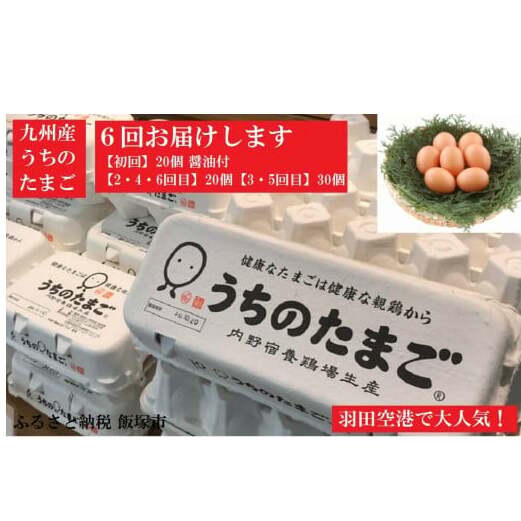 うちのたまご醤油セット(6回お届け)【F8-002】