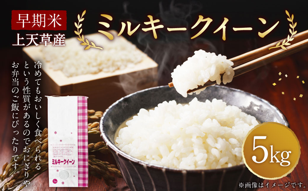 
                  早期米 令和8年産 上天草産 ミルキークイーン 5kg 米 お米 精米 白米 うるち精米【2026年8月下旬～10月上旬配送予定】
                
