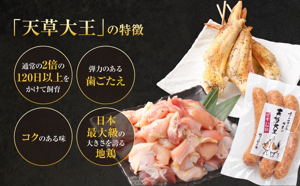 天草大王プレミアムバーベキューセット（小） 計9パック