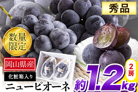 岡山県産 秀品 ニューピオーネ 約1.2kg 2房 《9月中旬～11月上旬頃に出荷予定(土日祝除く)》葡萄 果物 秀品 スイーツ フルーツ デザート 岡山県矢掛町---ofn_csnp_g911_25_24000_2---