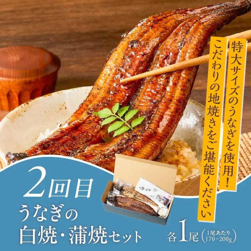 【定期便 5回】厳選！海づくし定期便 _ 定期便 5回 お届け 海づくし 海鮮 焼魚 真鯛味噌焼 金目鯛塩焼 銀ダラ味醂 紅鮭塩焼 漬け丼 銀ダラ西京漬け 銀むつ カマ煮付け 辛子明太子 食べ比べ 本