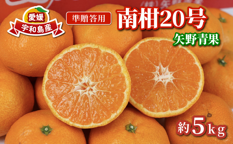 
                  準 贈答用 みかん 南柑20号 5kg 矢野青果 温州みかん 柑橘 温州 うんしゅう 果物 くだもの フルーツ 濃厚 甘い 甘味 蜜柑 準贈答用 贈答品 贈答 ギフト プレゼント 産地直送 農家直送 数量限定 国産 愛媛 宇和島 B012-171005
                
