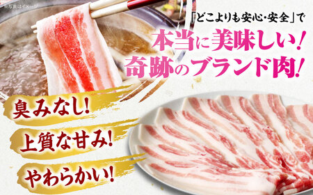 【冷凍】【独自基準で安心安全！4Xポーク】 豚肉 ポークスライスセット 620g （ロース150g、バラ170g、もも300ｇ）大洲市/株式会社SL Creations[AGCY003]豚肉豚肉豚肉豚