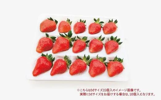完熟で香り高い！秋田のイチゴ 2パック ＜揺りかごパック＞　 90P3403【ひない渡辺農園しどけ村】
