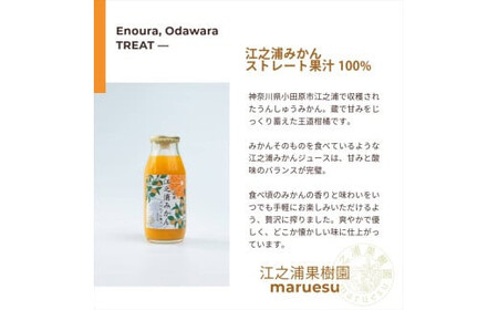小田原産江之浦みかんジュース５種のみくらべ３０本セット うんしゅう・しらぬい・ゴールデン・なつみ・バレンシアオレンジ１００％ストレートジュース１８０ml各６本合計３０本【 神奈川県 小田原市 】