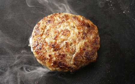 おやじのつくったハンバーグ 120g×8個 佐賀牛 ハンバーグ 吉野ヶ里町/雄勝[FDW001]