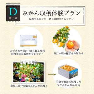 自分の畑が持てる!オーナー制度:Dみかん収穫体験プラン ミヤモトオレンジガーデン【H25-157】【1501527】
