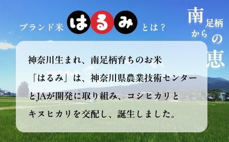 令和7年 新米 南足柄産のブランド米「はるみ(精米)」 5kg×2袋 計10kg＜出荷時期：2025年10月末頃より順次出荷予定＞【 お米 神奈川県 南足柄市 】