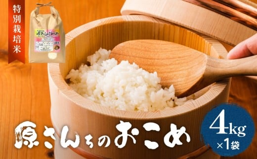 令和7年度産 原さんちのお米 ４kg  ヒノヒカリ  特別栽培米 原農園 有機栽培 化学肥料不使用 アートテン農法 抗酸化農法 完熟堆肥 有効微生物農法 産直 お米 栄養価 体に良い おいしい 安心 田植え 収穫