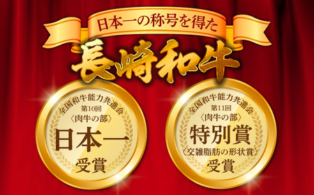 長崎和牛 サーロインステーキ 2人前（200g×2枚）/ 牛肉 ステーキ 長崎産 サーロイン / 南島原市 / ふるさと企画[SBA031]