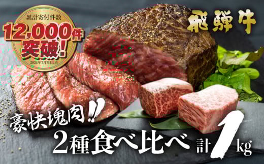 飛騨牛 ブロック肉 1kg (霜降り肉 赤身肉 500g×2 ) 訳あり 訳アリ 部位お任せ 不揃い ローストビーフ  牛肉 ブロック セット 真空パック 黒毛和牛 肉  バーベキュー BBQ 焼き肉 焼肉 ごちそう JA 30000円 [S090]