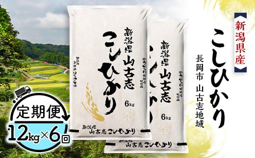
            75-BY126【6ヶ月連続お届け】新潟県長岡産コシヒカリ山古志地域棚田米12kg
          