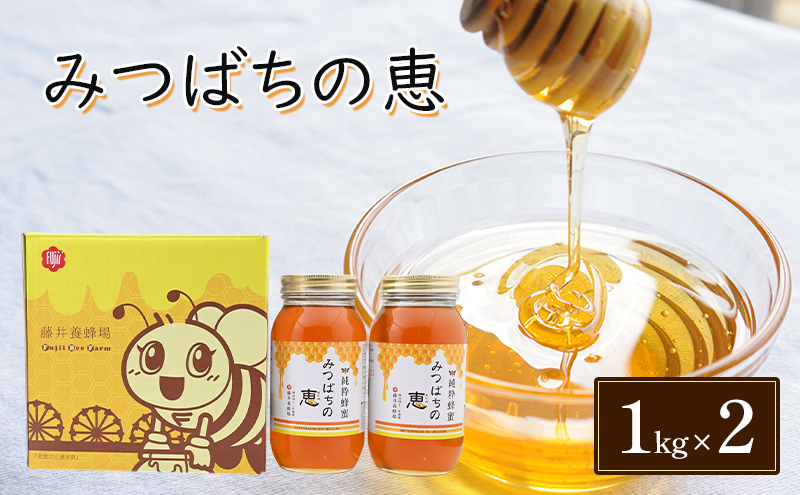 【朝倉市制施行20周年記念企画】 はちみつ みつばちの恵 1kg×2 バラエティボックス入 ハチミツ 蜂蜜 