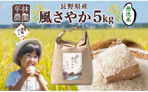 無地熨斗 令和5年産 風さやか 無洗米 5kg×1袋 長野県産 米 白米 精米 お米 ごはん ライス 甘み 産直 信州 人気 ギフト 時短 平林農園 熨斗 のし 名入れ不可 送料無料 長野県 大町市