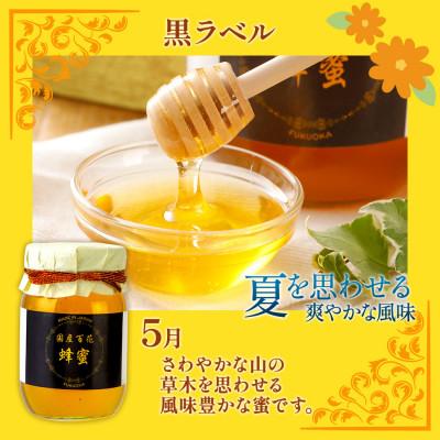 ふるさと納税 大木町 国産蜂蜜ギフト(黒)　1,000g　CD12 |  | 01