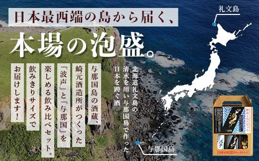 波声・与那国飲み比べセット (波声30度/43度・与那国30度) 各100ml ≪3本セット≫ E0057 │ 沖縄県 与那国町 与那国島 日本最西端 泡盛 酒 地酒 島酒 30度 43度 100ml