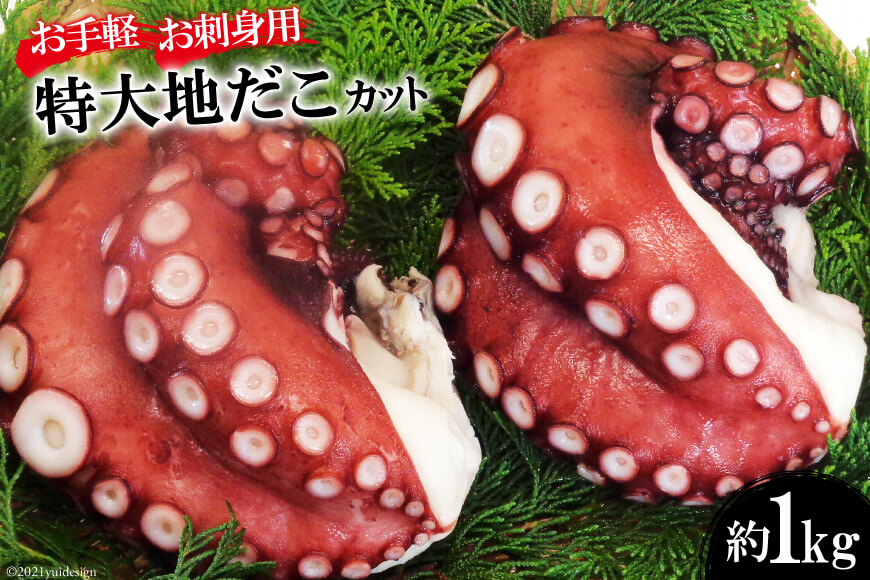 DF083 【お手軽 お刺身用】長崎県産 特大地だこ カット　約1kg 