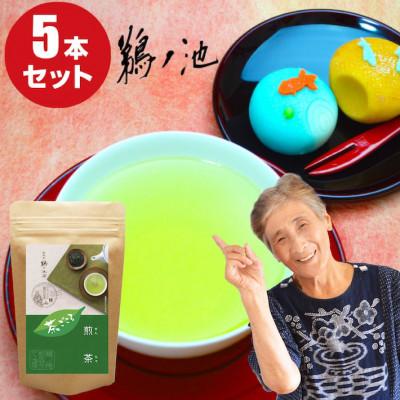 ふるさと納税 八女市 茶ごころ100g入り5袋セット