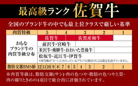 【全6回・偶数月】佐賀牛 牛肉定期便 約2-3人前 総計1.95kg 隔月発送 UCC008