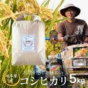 【ふるさと納税】コシヒカリ 5kg 白米 玄米 令和6年産 新米 無農薬栽培 無化学肥料栽培 サノライス 米不足 2024 飛騨市 [Q2272] 20000円 2万円 24000円