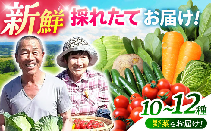 
                  諫早のんのこ彩菜・詰め合わせ 10～12品目程度 / 季節 旬 野菜 やさい 春野菜 夏野菜 秋野菜 セット 詰め合わせ / 諫早市 / 肥前グローカル株式会社 [AHDI005]
                