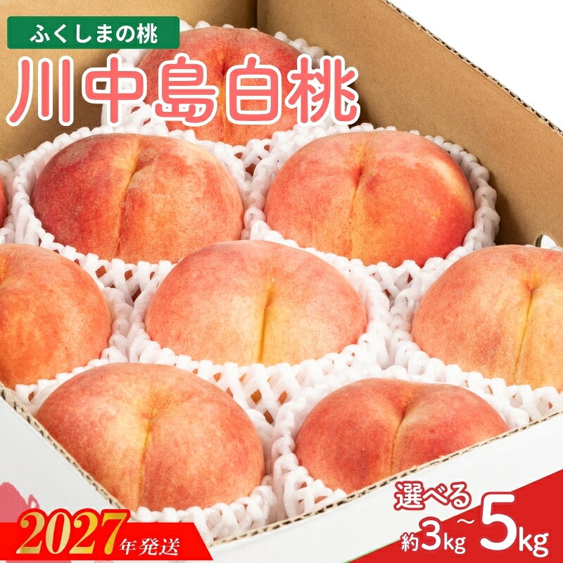 【ふるさと納税】福島のもも　川中島白桃　約3kg 約5kg MF-1 MF-2【2027年発送】福島県 福島市 桃 白桃 8月の桃