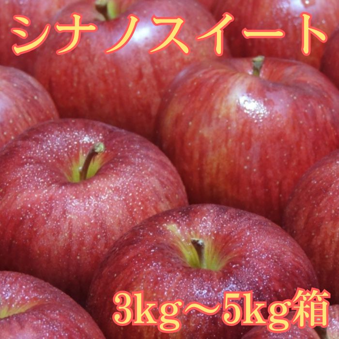 【ふるさと納税】 りんご シナノスイート 3kg箱～ ＜10月中旬より発送＞ 長野県 信州 南信州 高森町 りんご 旬のりんご 旬の果物 大野農園【配送不可地域：離島】