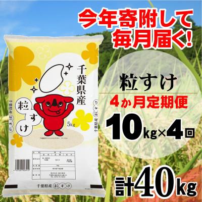 ふるさと納税 大網白里市 【毎月定期便】粒すけ 精米 10kg (5kg×2袋)全4回