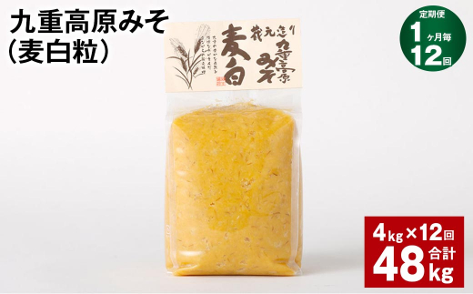 【1ヶ月毎12回定期】 九重高原みそ（麦白粒） 1kg✕4袋 計48kg （4kg✕12回） 麦みそ 味噌 白色系