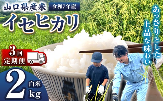 【 定期便 】 令和7年産 山口県産米 イセヒカリ 2kg 3回 ｜ 令和7年産 いせひかり 山口県産米 こめ お米 コメ 白米 精米 ごはん ご飯 瀬戸内 山口県 平生町 2kg
