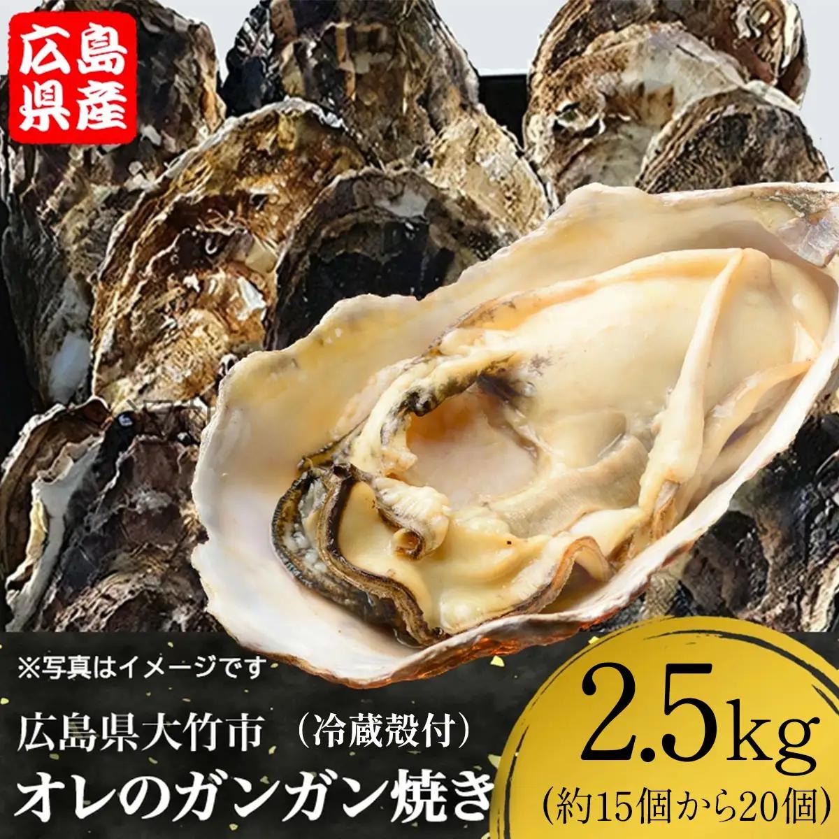 [2027年1月8日より発送！]株式会社 アミスイ オレのガンガン焼き 広島県大竹市産 冷蔵殻付牡蠣 2.5kg (約15個から20個) [2623]