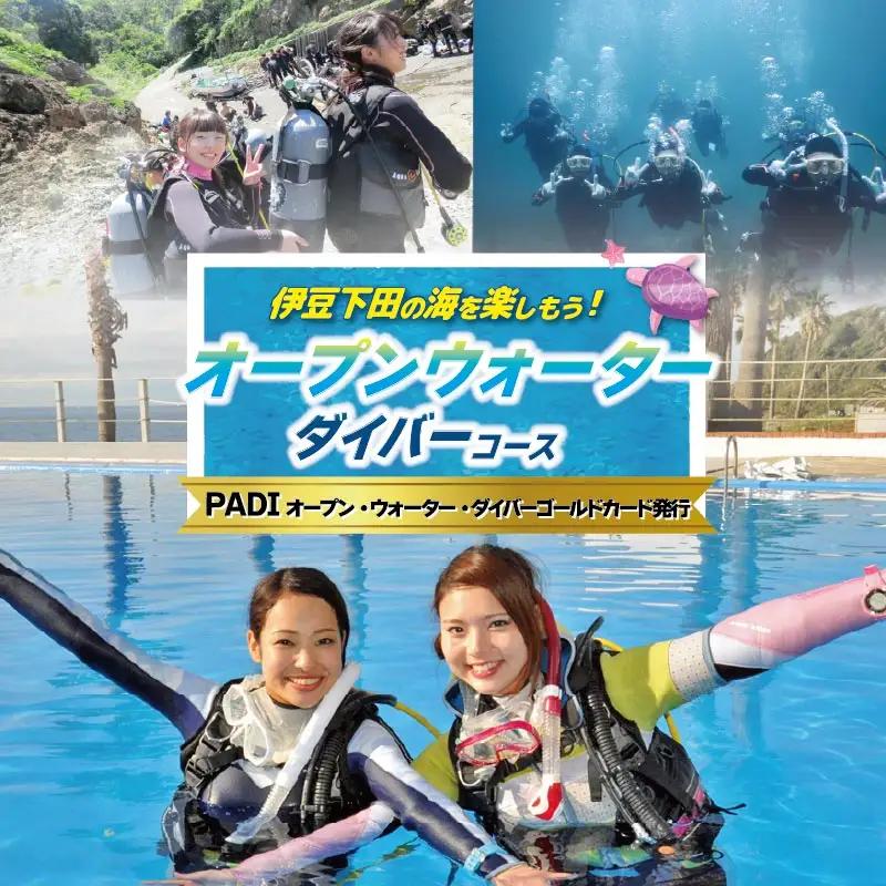 資格取得 PADI ゴールドカード 3日間 1名 オープンウォーターダイバー 伊豆 下田 ドラゴンレディ