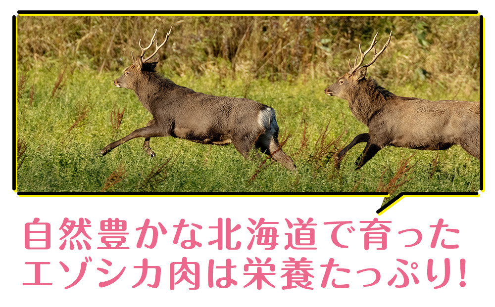 犬 おやつ 無添加 国産 骨 エゾ鹿 ボーン 肩甲骨 (約300g) 【premium北海道うまいもん屋】