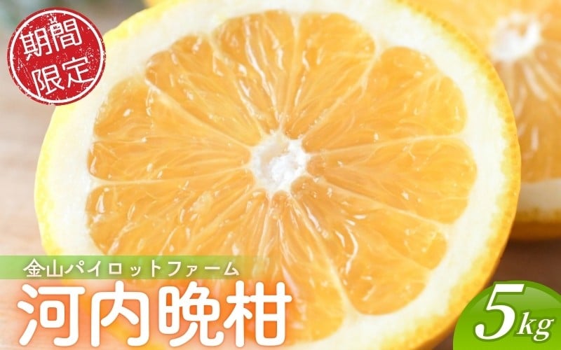 
                  【数量限定】金山パイロットファーム 河内晩柑 5㎏ みかん ミカン フルーツ 果物 くだもの 柑橘 和製グレープフルーツ グレープ 産地直送 期間限定 国産 三重県 熊野市【knpr0019】

                