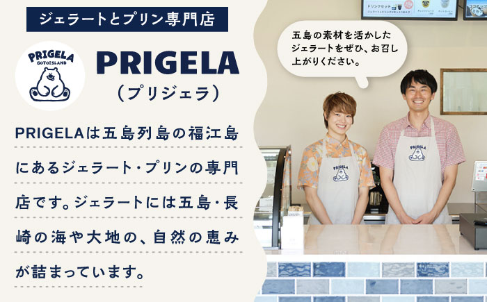 ジェラート 12個セット お取り寄せ スイーツ アイスクリーム 食べ比べ 五島市/PRIGELA [PFV002]
