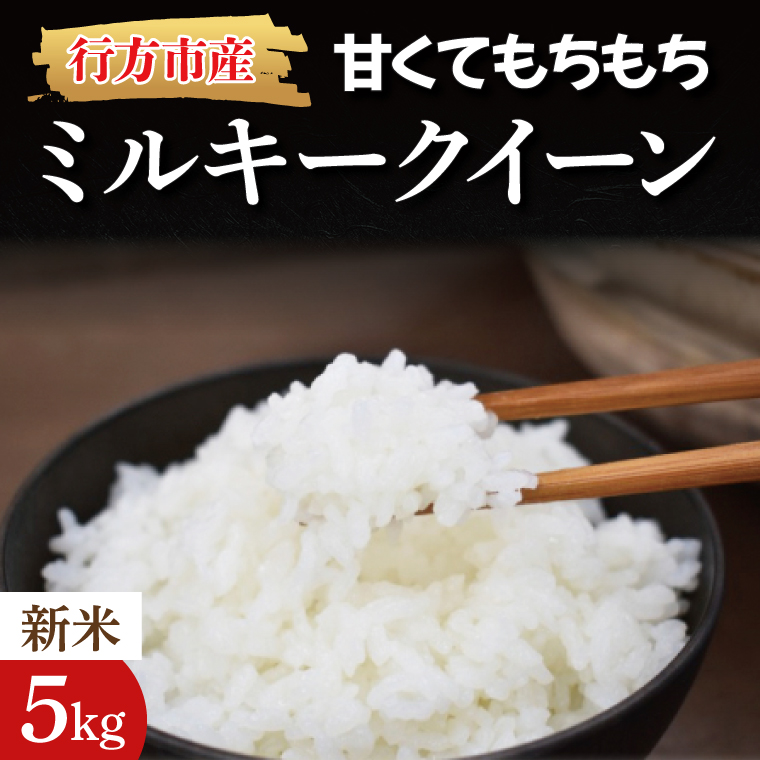 【令和8年産】★数量限定★甘くてもちもち ミルキークイーン 精米5kg｜米 お米 こめ ミルキークイーン 数量限定 令和8年産 茨城県 行方市 人気 送料無料(BR-2-1)