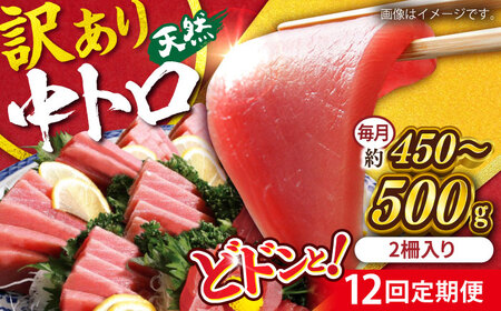 【全12回定期便】【訳あり】天然 まぐろ 中トロ メバチ （約450〜500g（2柵入り）） 【横須賀商工会議所 おもてなしギフト事務局（本まぐろ直売所）】[AKAK093]