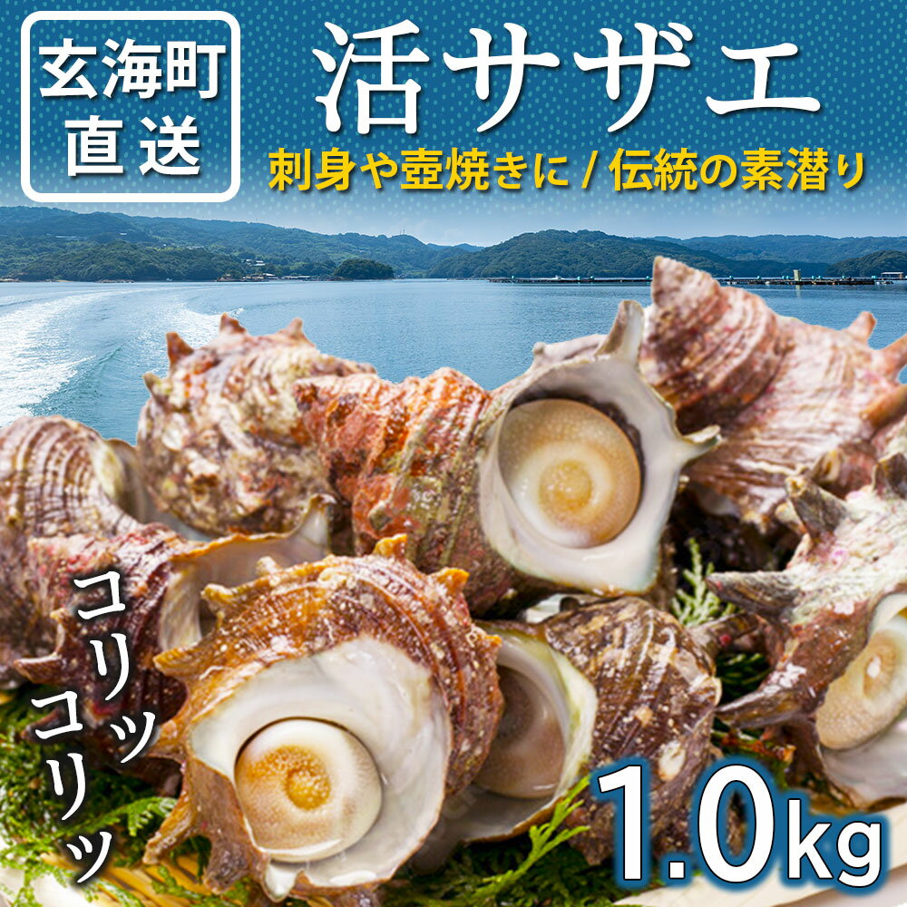【ふるさと納税】玄海町産 活サザエ 1.0kg ／ 数量限定 希少 貝 魚介 魚介類 海鮮 海産物 サザエ 刺身 壺焼き つぼ焼き バーベキュー BBQ 国産 佐賀県 玄海町 ＼レビューキャンペーン実施中／