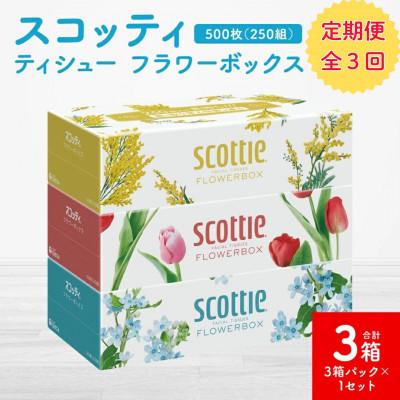ふるさと納税 八代市 【毎月定期便】【スコッティ】ティシュー フラワーボックス 250組(3箱パック×1 合計3箱)全3回