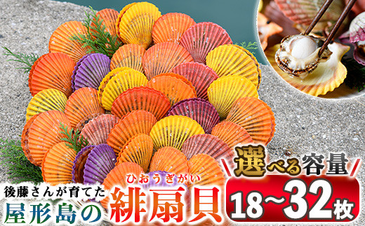 ＜内容量が選べる＞緋扇貝 (計18枚・計32枚) 海鮮 ヒオウギ貝 BBQ バーベキュー 炭火焼 酒蒸し ご当地 国産 佐伯市産 屋形島で後藤さんが育てた緋扇貝【AX61・AX63】【後藤緋扇養殖販売】