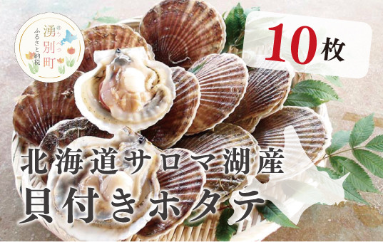 
            [№5930-0251]≪先行予約2025年11月から発送≫北海道サロマ湖産　貝付きホタテ10枚　ほたて　帆立　刺身　海鮮　魚介　貝付き　冷蔵　サロマ湖　オホーツク　おほーつく　湧別町　北海道
          