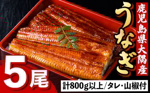 C57003 うなぎ蒲焼・大(有頭)(5尾・計800g以上、タレ、山椒付)鹿児島 国産 鰻 うなぎ ウナギ 蒲焼き うな丼 うな重 ひつまぶし 土用の丑の日 真空パック お土産 贈答 ギフト プレゼント【一般社団法人きもつき宇宙協議会】